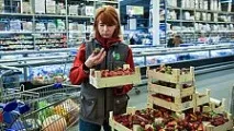 заборони