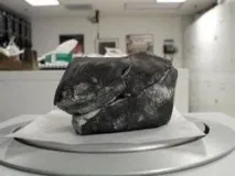 Нові види вуглецю виявлені у метеориті! вуглецю