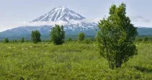 камчатський