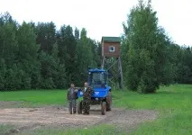 кабана