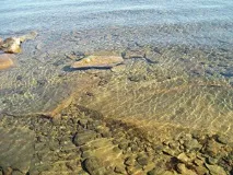 Озеро Увільди - вода, клімат та погода на Увільдах увільди