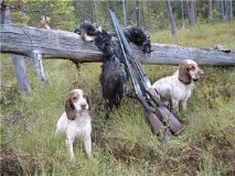Полювання на глухаря восени Полювання