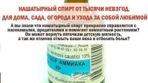 нашатир