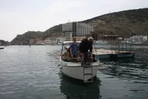 поїхати