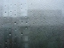 огірках
