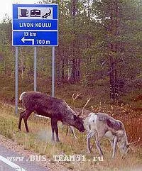 поїздки
