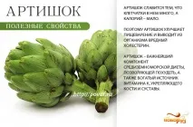 Користь артишоку – чим корисний артишок для здорового організму артишок