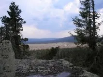 золотого