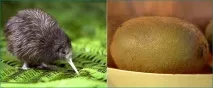 користь