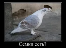 Привіт з району, або Реальні пацани Іркутська, Статті, Новини Іркутська економіка, спорт, медицина району