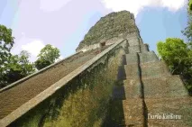 Розкрийте таємниці піраміди Тікаль - Tour Exótico піраміди