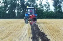 Редька олійна корм та добрива, Міаський Завод Доїльного Обладнання добрива