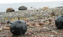 Сонник Міна, до чого сниться Міна уві сні бачити чого