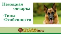 німецькі