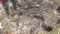 На ділянці глинистий ґрунт глинистий