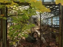 Нелегальний Чорнобиль» більше
