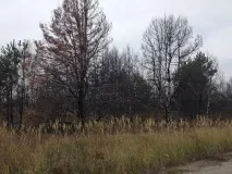Нелегальний Чорнобиль» навіть