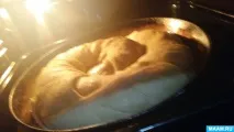 адигського