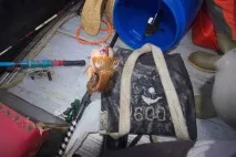 Рибалка в Антарктиці зовсім