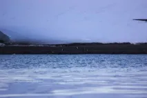 Рибалка в Антарктиці антарктиці