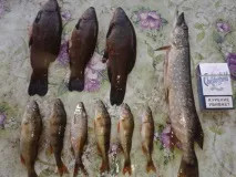Увільдах