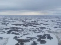 мисливський