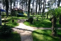 Санаторій -Колхіда, Грузія - ціни на 2019 рік, офіційний сайт Курорт Експерт колхіда