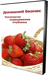 Сільський бізнес технологія вирощування цукрових буряків бізнес