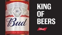 САН ІнБев, BUD інбев