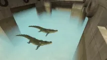 Смерть від оточення - Official TF2 Wiki, Official Team Fortress Wiki official