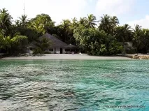 Smarty_yulia, Мальдіви Nika Island smarty_yulia