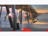 Собачі бої сао алабай vs тибетський мастиф, Притулок для бездоглядних тварин собачі