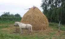 Сонник Куча, до чого сниться Куча чого