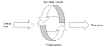 Сучасні технології вирощування риби сучасні
