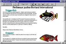 Створення звітів у Borland створення