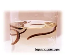кабінету