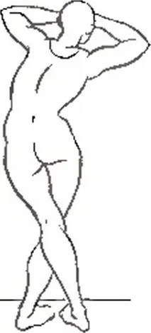 gluteus