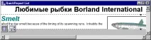 Створення звітів у Borland звітів