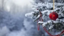 Новий рік з дітьми вдома новий