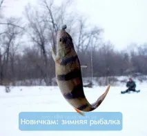 Pescuit de iarna pentru incepatori - Bazin linistit