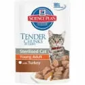 Сухе харчування для стерилізованих (кастрованих) кішок та котів – “Royal Canin Sterilised”, харчування