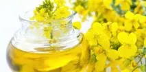 Властивості оливкової олії олії