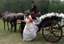 Весільні карети вперед, до казки! весільні