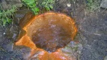 заповідник