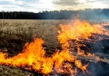 ТЕТЯНА ТА ВАЛЕРІЙ ВАВИЛОНСЬКІ ВІДЗНАЧИЛИ П’ЯТИРІЧЧЯ З ДНЯ ВЕСІЛЛЯ Россони, Новини Россон Россонського вавилонські