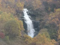 факти