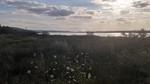 Варненське озеро болг