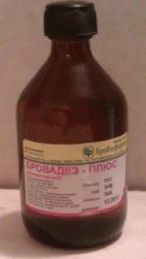 шиншил