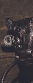 кімнати
