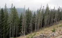 почали